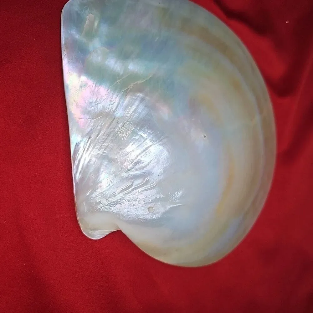 Mother of Pearl Caviar Snack Serving Plates & Knife Shell Polished Trinket